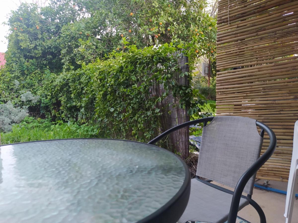 אצלנו בקיבוץ Apartment Amir Ngoại thất bức ảnh