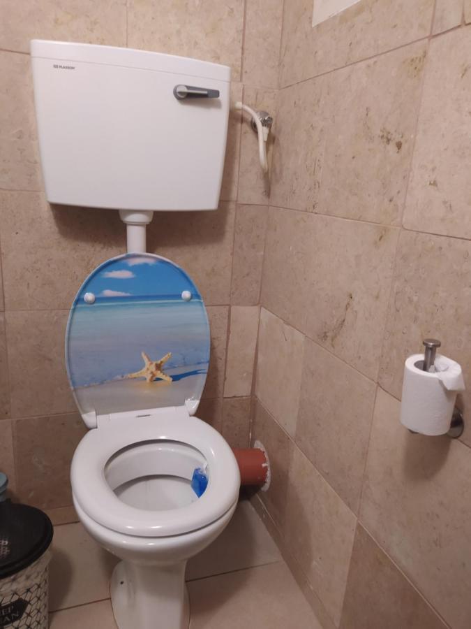 אצלנו בקיבוץ Apartment Amir Ngoại thất bức ảnh
